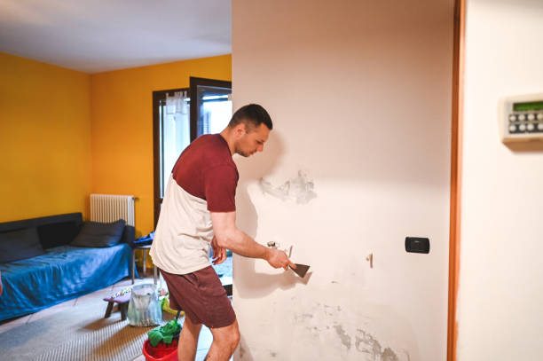 Best Crawl Space Mold Removal  in Avon, MN